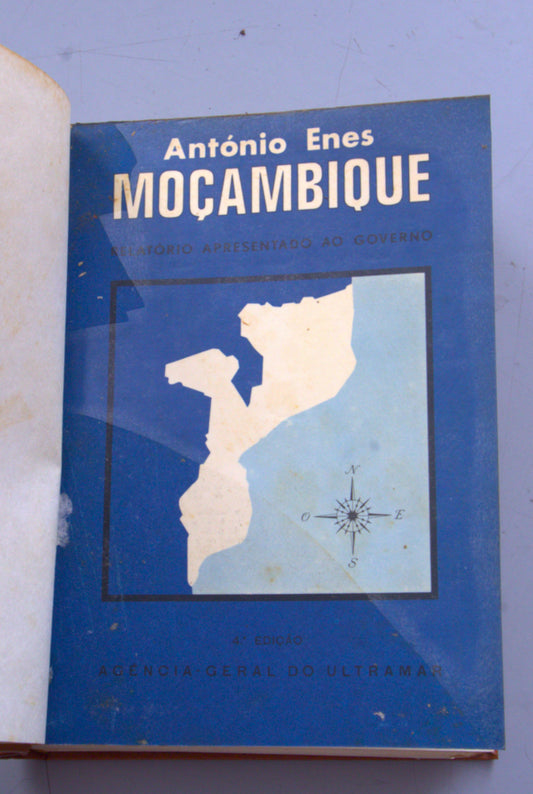 Moçambique | Relatório apresentado ao governo