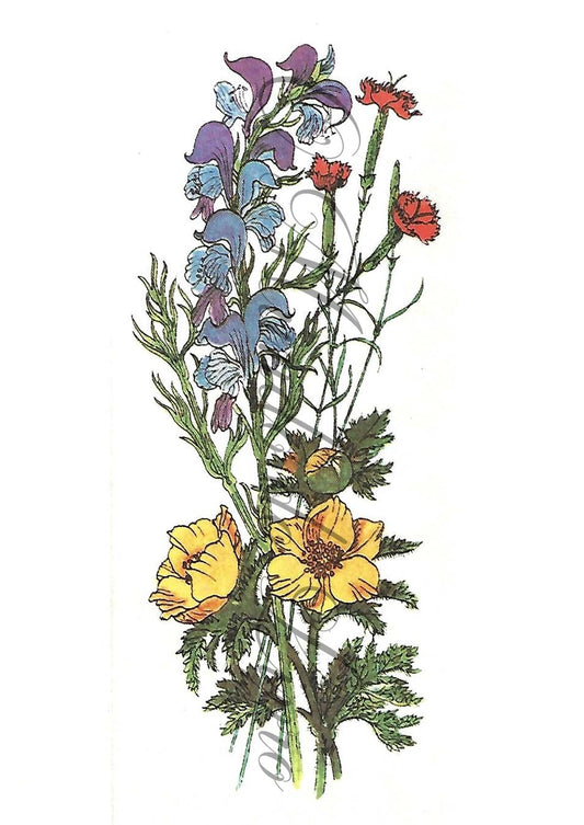 Reprodução de uma Gravura - Flores 118