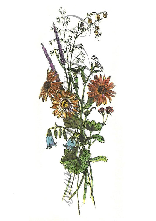 Reprodução de uma Gravura - Flores 111