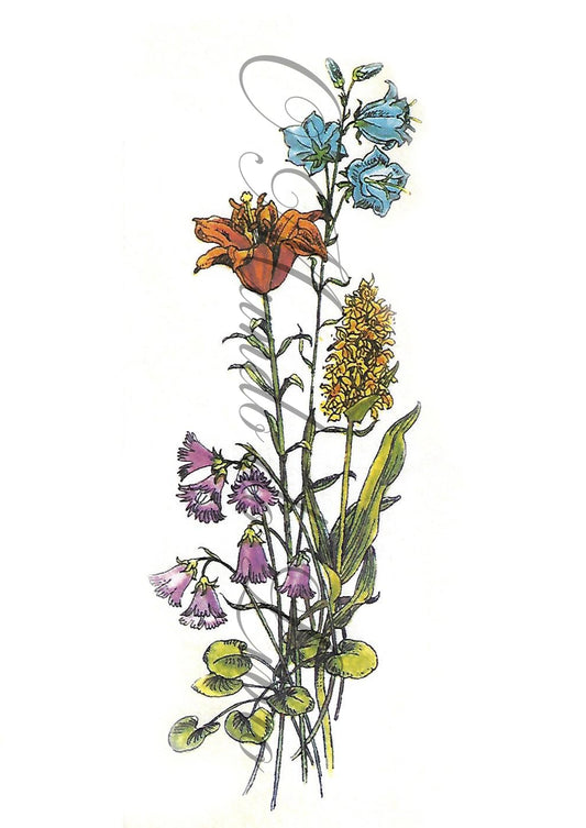 Reprodução de uma Gravura - Flores 113