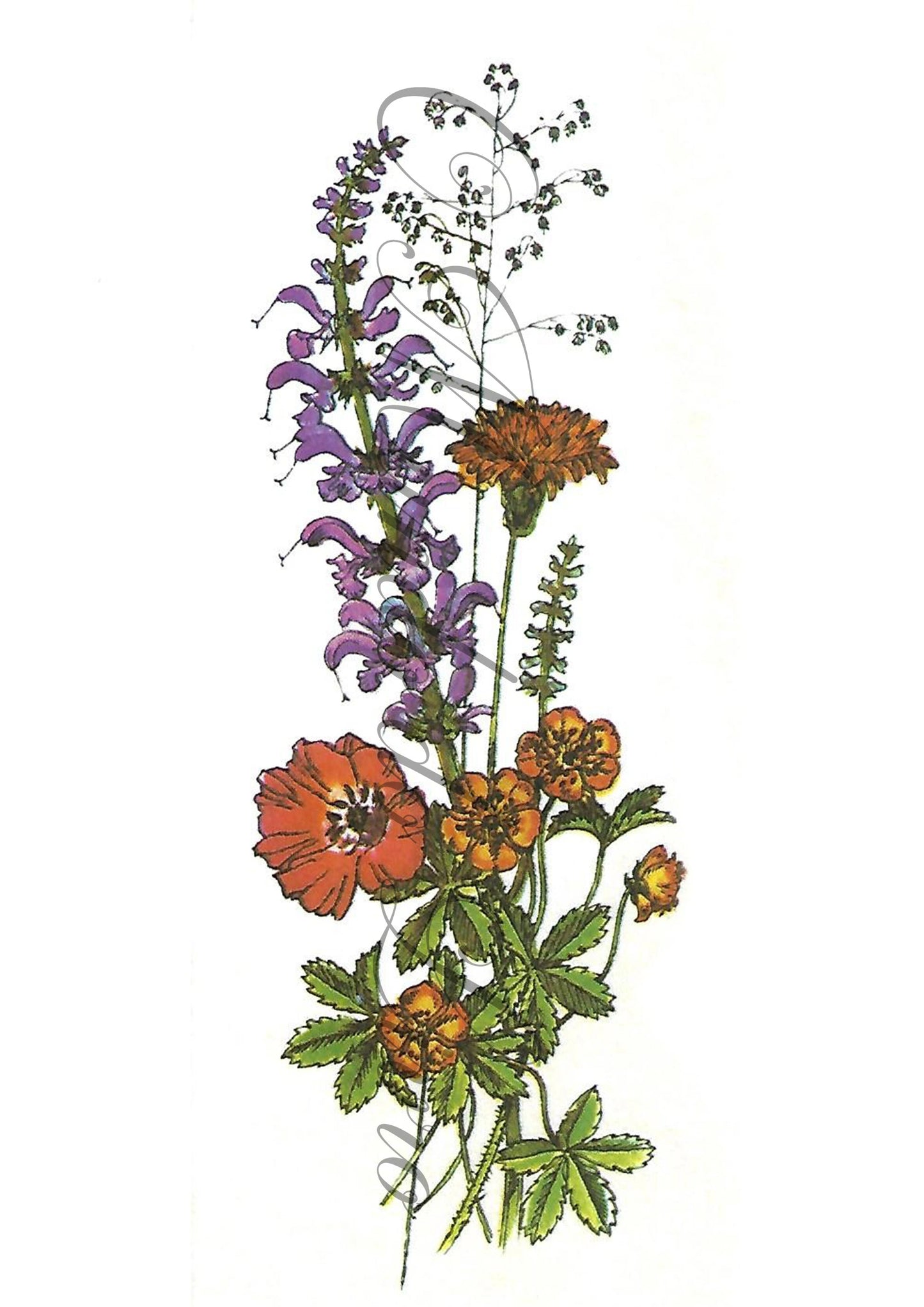 Reprodução de uma Gravura - Flores 115