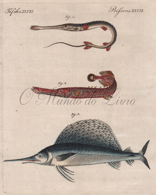 Poissons Remarquables I