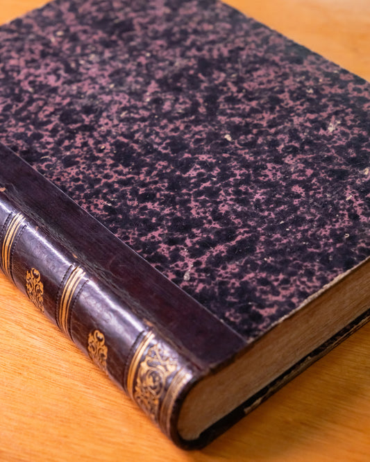 A Formosa Lusitânia