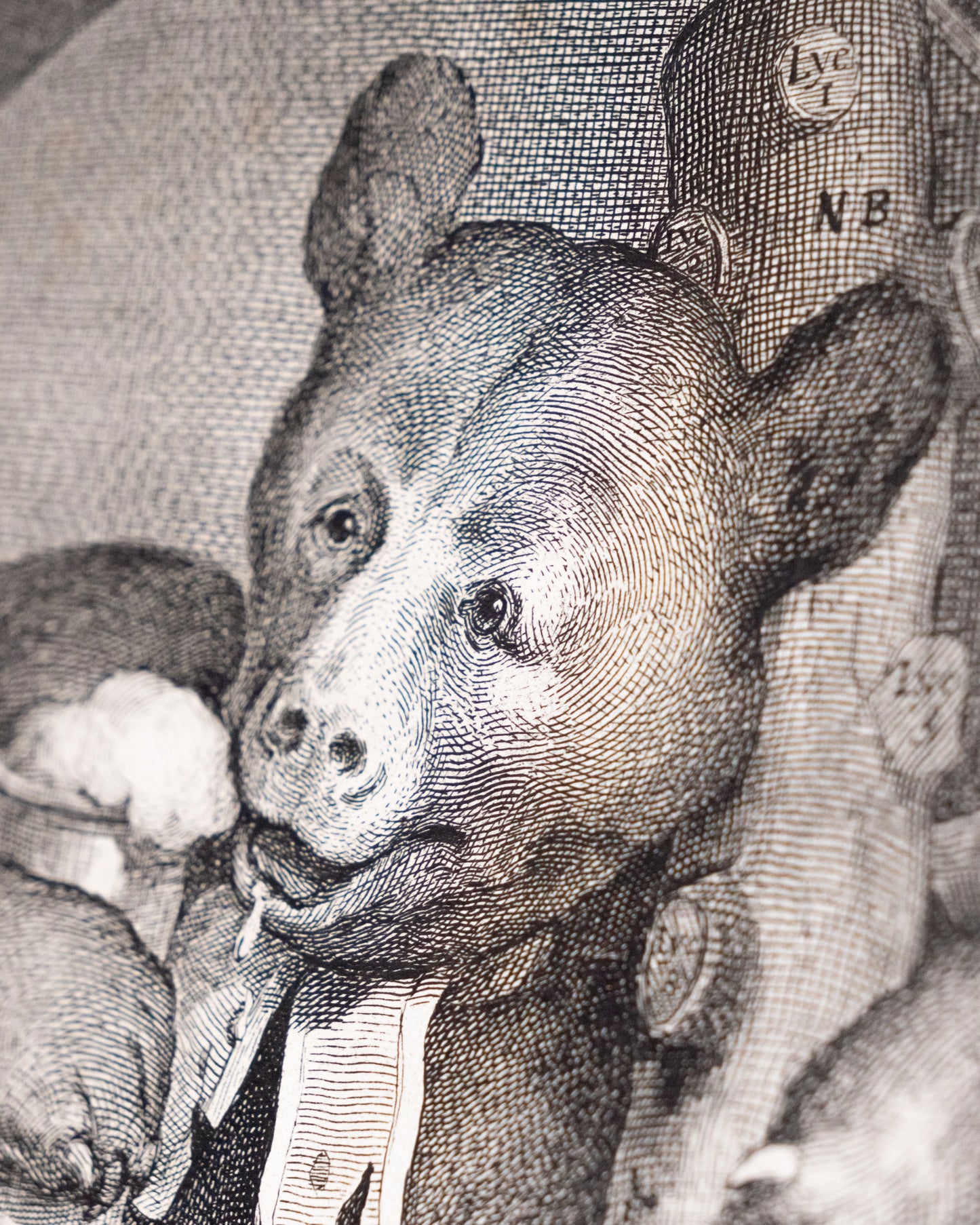 7 Engraving