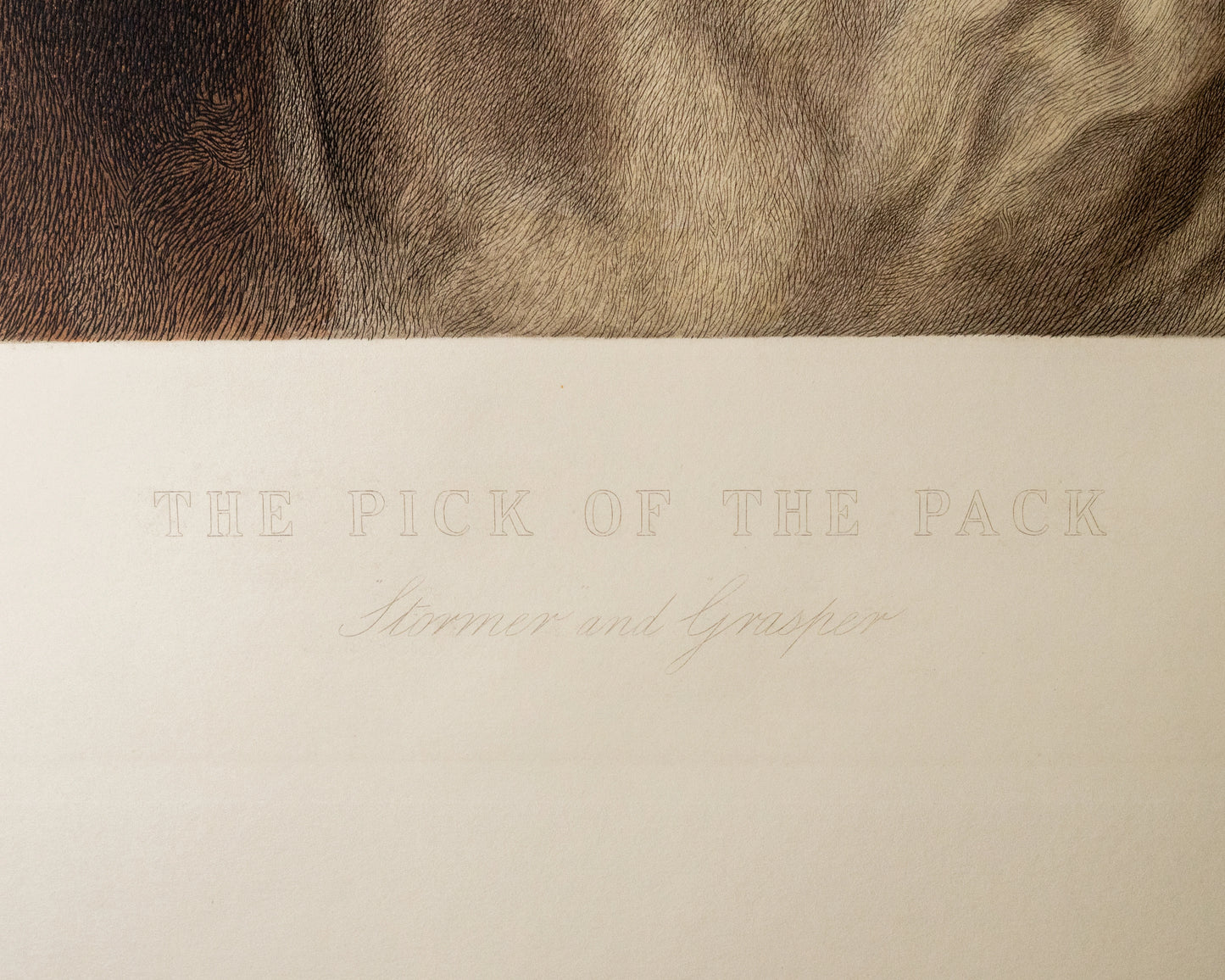 The Pick of the Pack