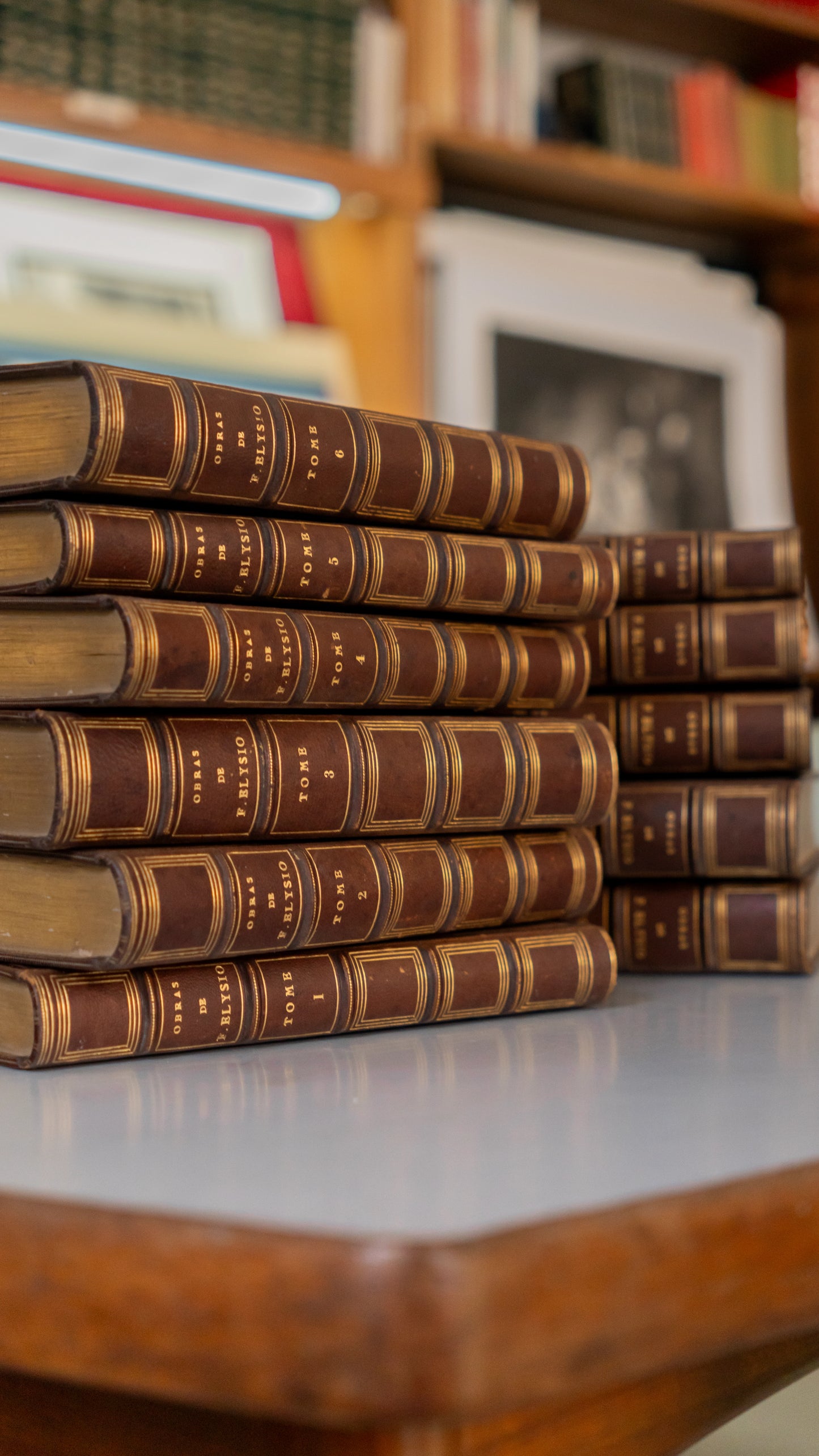 Coleção de Livros: Obras Completas de Filinto Elysio | 11 Volumes