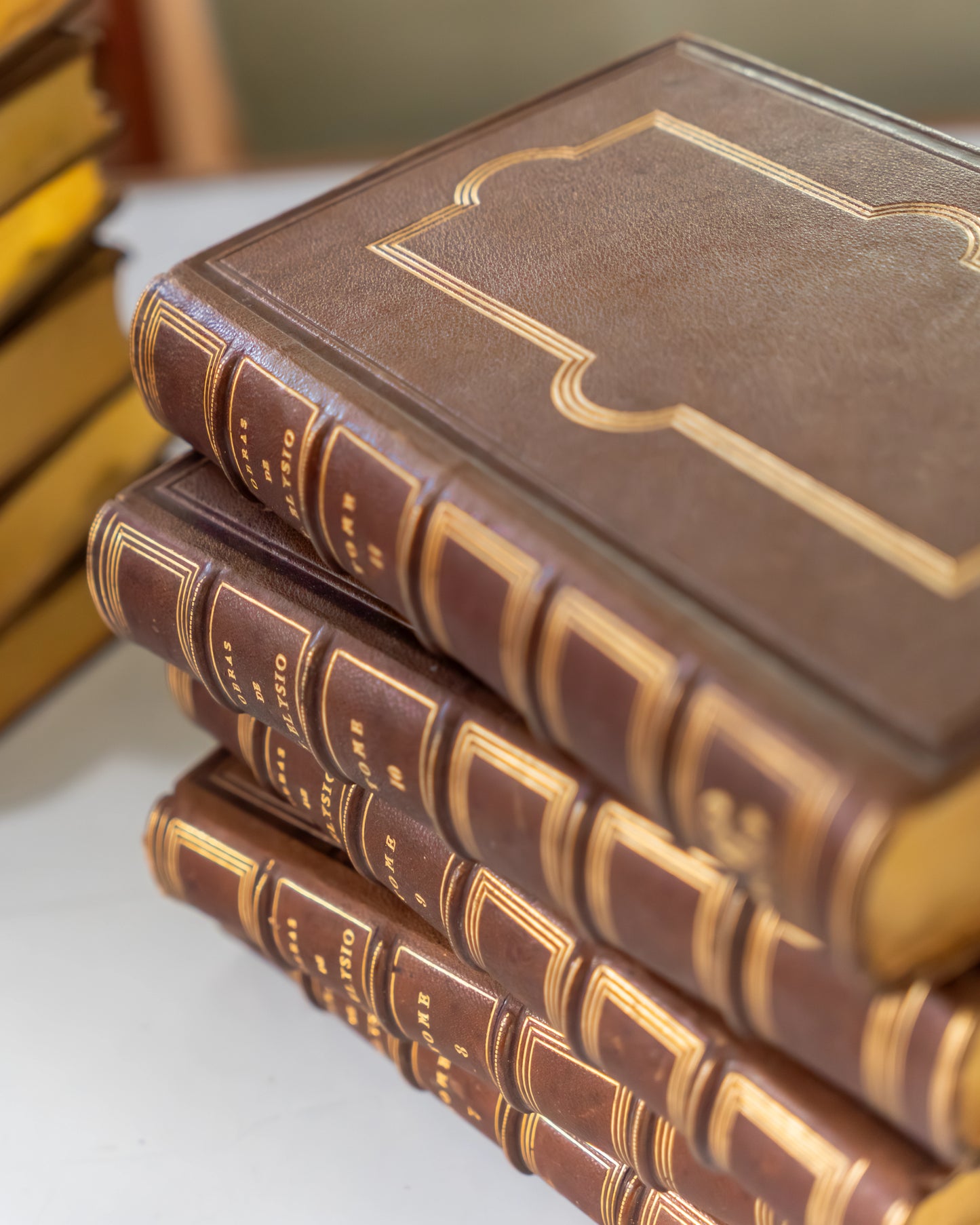 Coleção de Livros: Obras Completas de Filinto Elysio | 11 Volumes