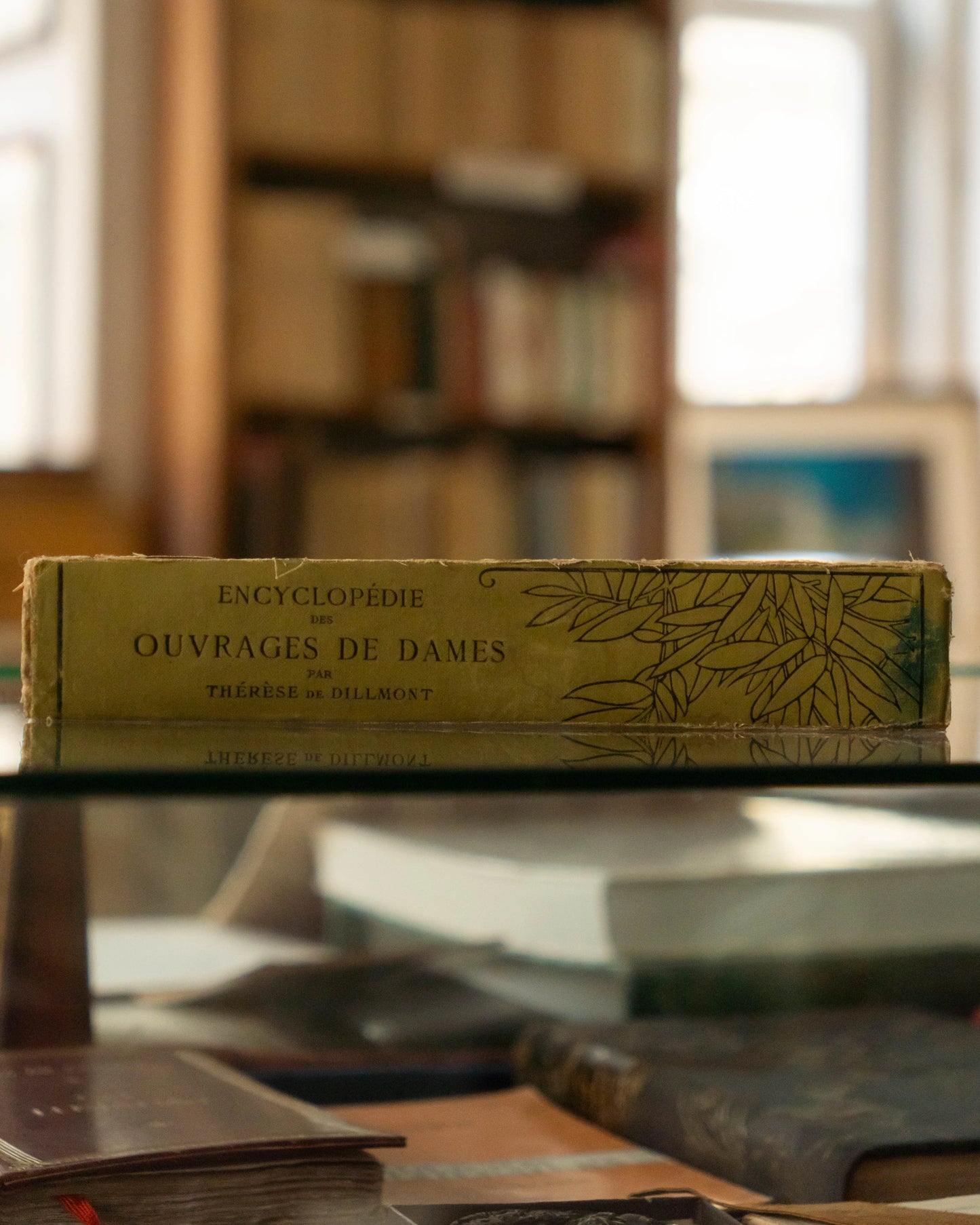 Encyclopédie des Ouvrages de Dames Par Thérèse de Dillmont
