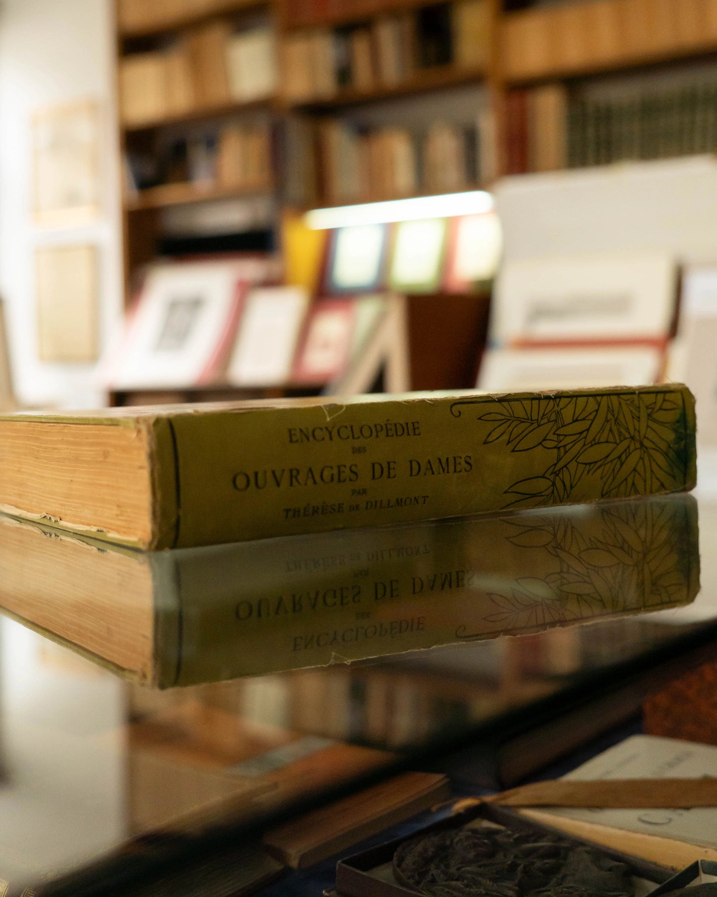 Encyclopédie des Ouvrages de Dames Par Thérèse de Dillmont