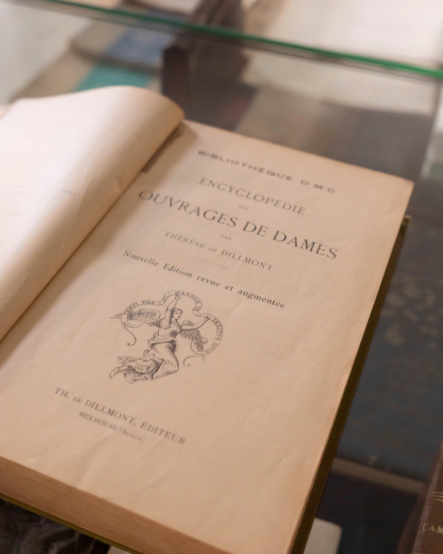 Encyclopédie des Ouvrages de Dames Par Thérèse de Dillmont