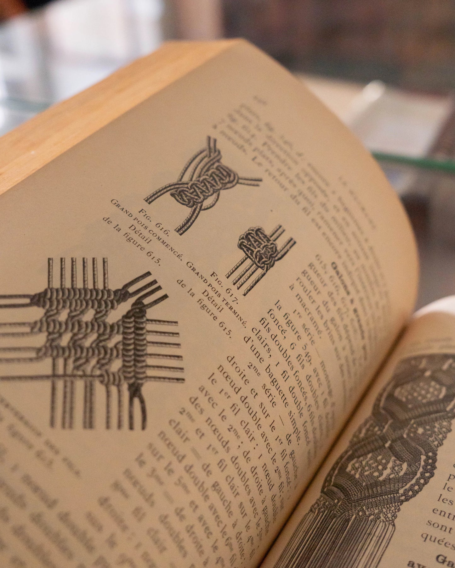 Encyclopédie des Ouvrages de Dames Par Thérèse de Dillmont