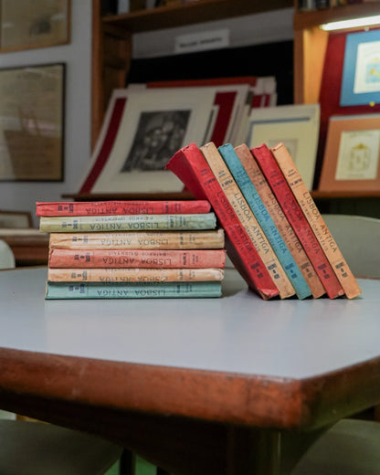 Coleção de Livros: Lisboa Antiga; Bairros Orientais de Júlio de Castilho 2ª Edição