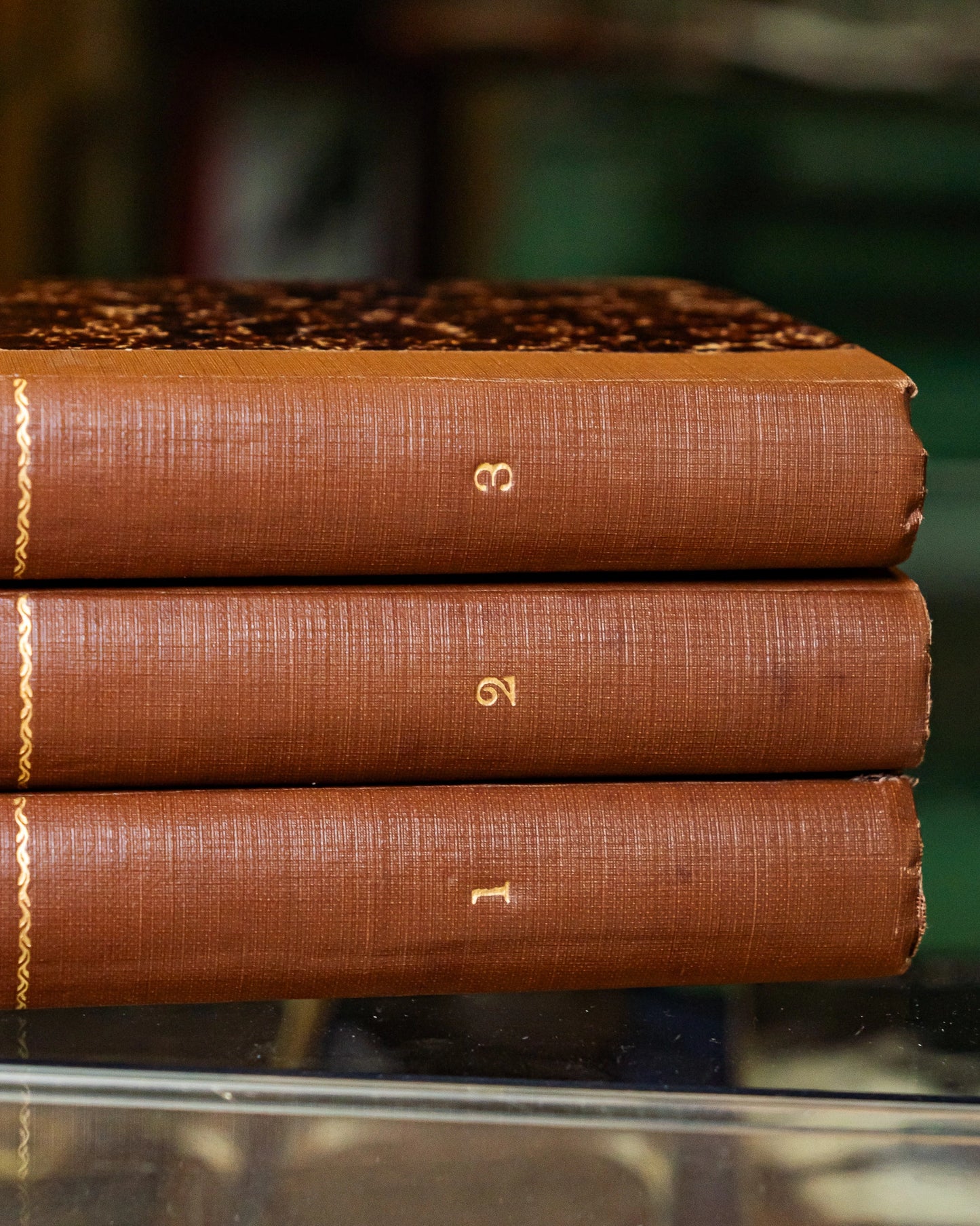 Coleção de Livros: Ruas de Lisboa por Gomes de Brito