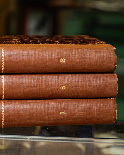 Coleção de Livros: Ruas de Lisboa por Gomes de Brito